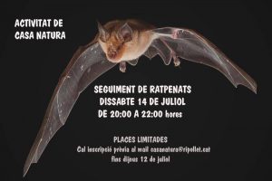 CARTELL SEGUIMENT DE RATPENATS