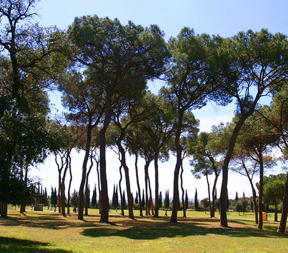 ronda-verda-palau