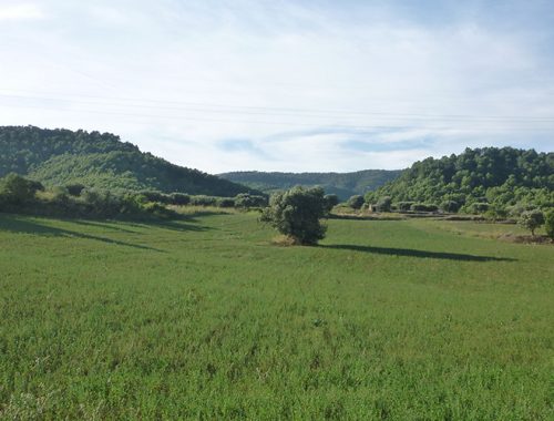 ruta-de-can-senosa