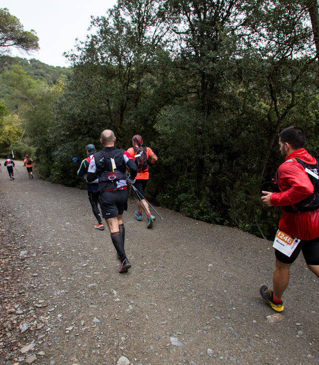 Trail Collserola 18 Trail Collserola 18