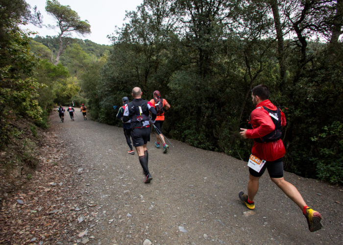 Trail Collserola 18