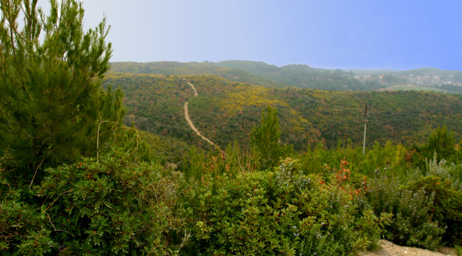 La Serra de Galliners al Vallès Occidental.
