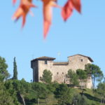 El Castell de Plegamans dalt d'un turó a Palau-solità i Plegamans.