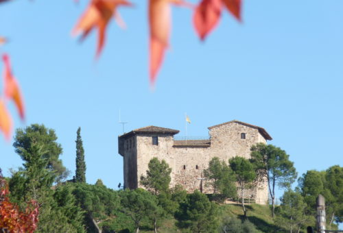 El Castell de Plegamans dalt d'un turó a Palau-solità i Plegamans.