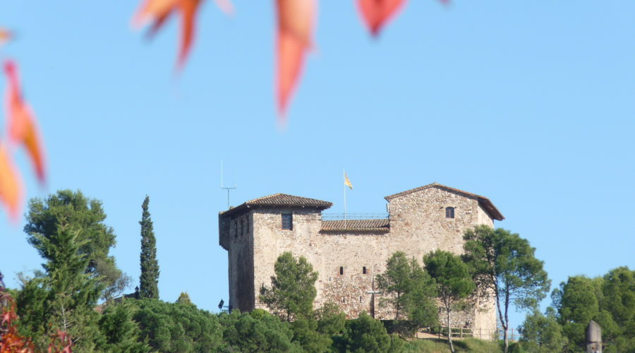 Castell PLegamans_Palau