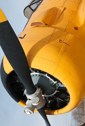 Aeroclub Sabadell Avió clàssic monohèlix de color groc