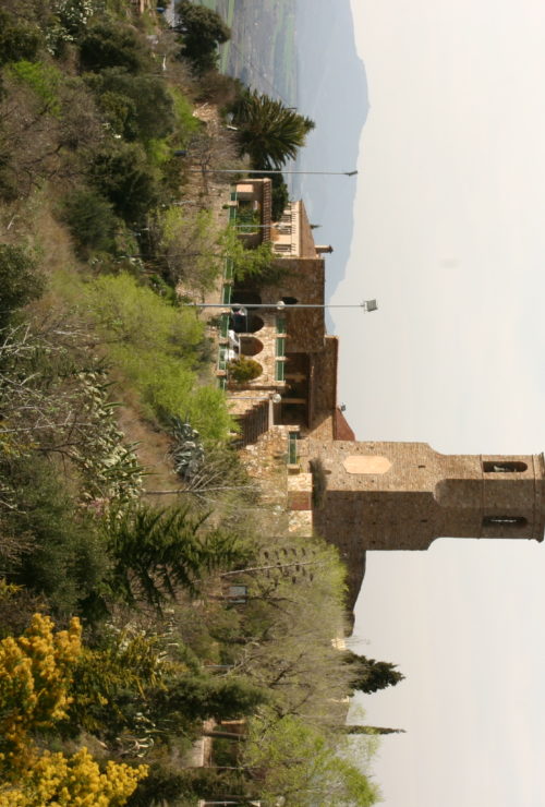 IMG_4245 IMG_4245