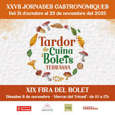 Bolet_Terrassa Bolet_Terrassa