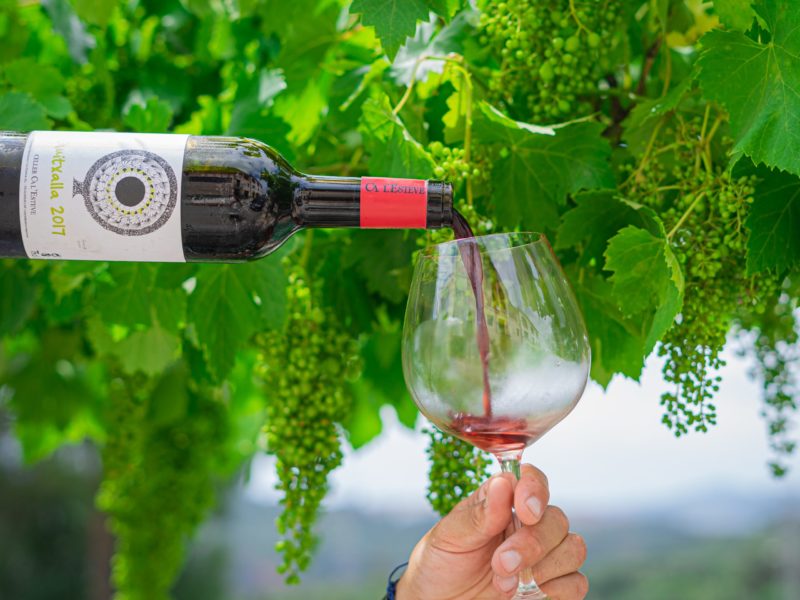 Ampolla del vi Quitxalla de Ca l’Esteve, a Castellbisbal, abocant vi negre en una copa durant un tast al Vallès Occidental.