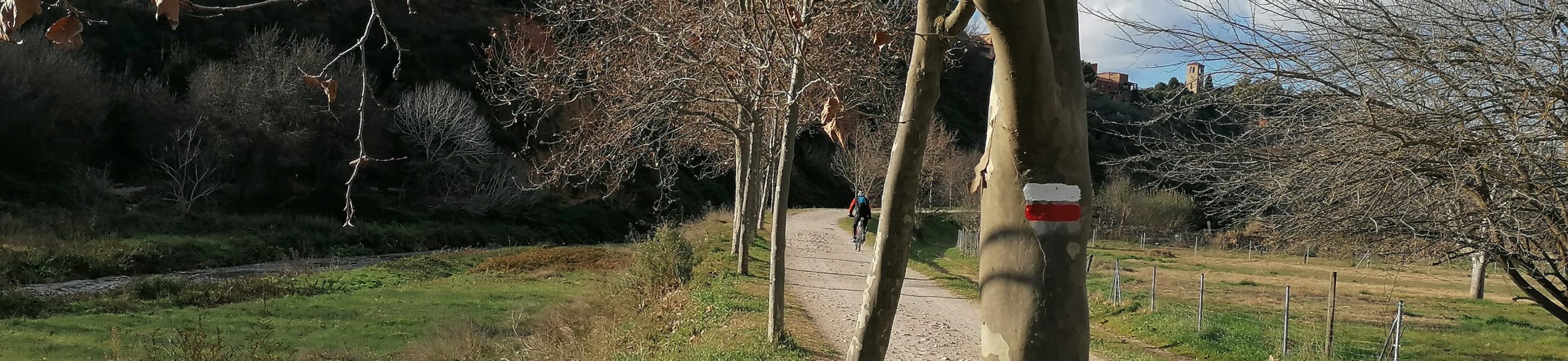 EC_Ripoll_3
