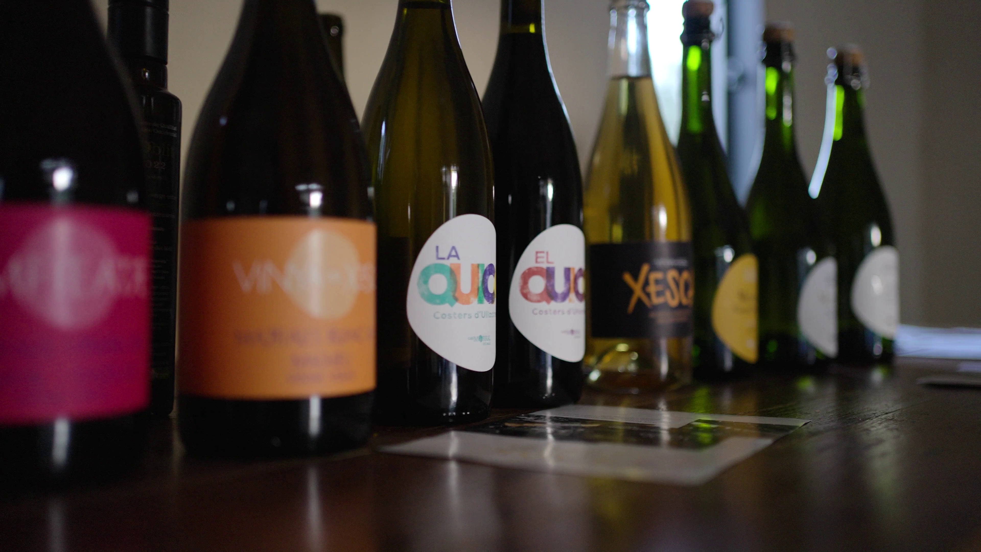 Varietats de vins del Celler Can Morral del Molí en primer pla, mostrant diverses ampolles de vi produïdes a Ullastrell.