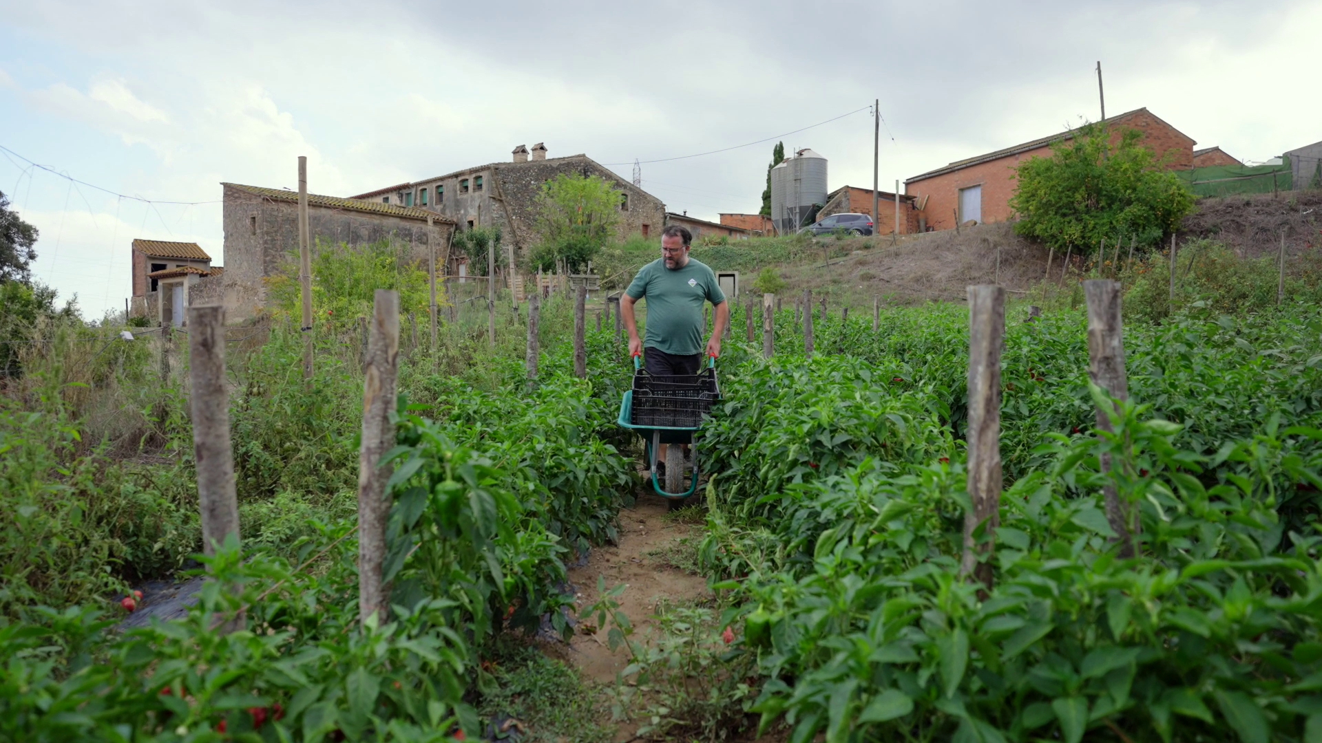 l pagès Pere Botifoll empeny un carretó pel centre de l’horta de Ca n’Oliveró, a Castelbisbal.