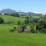 Paisatge rural amb camps verds i el cim de la Mola al fons, dins l’Anella Verda de Terrassa, al Vallès Occidental.