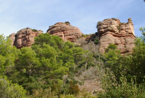 Obac_Sant_Llorenç_Savall