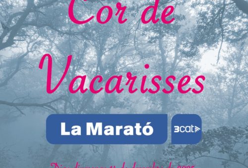 Nadal_cor_vacarisses_2025