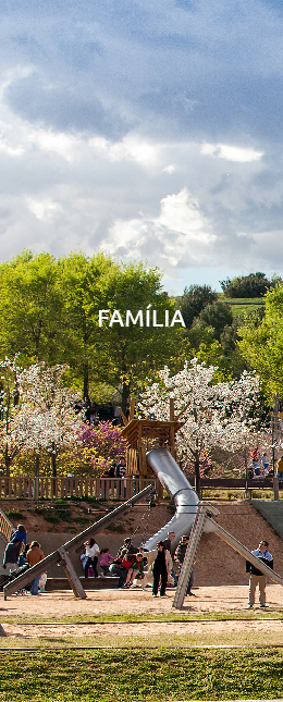 banner familia