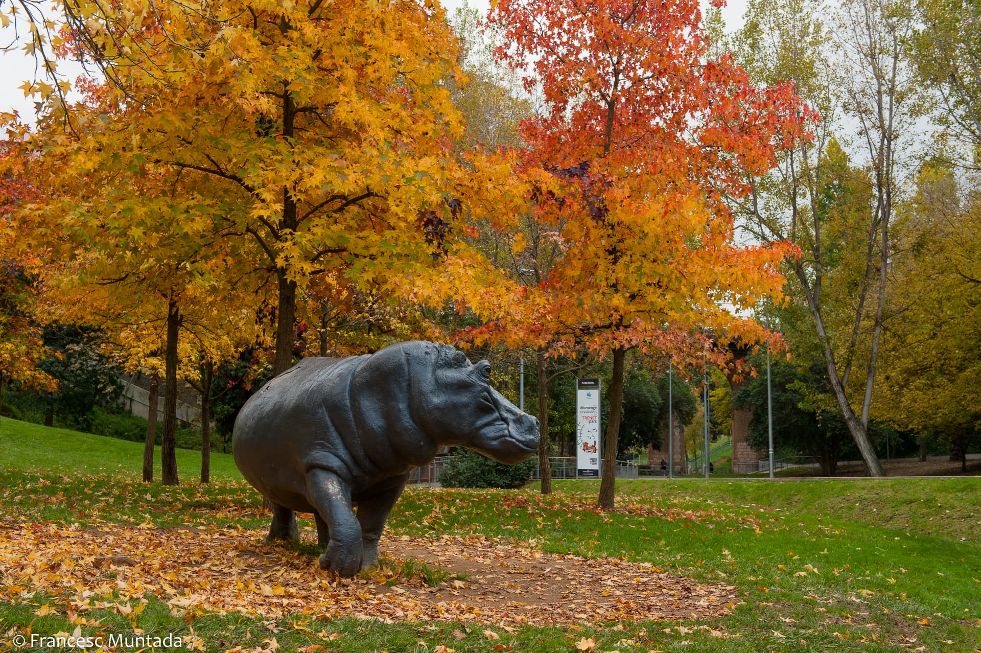 Estàtua d'un hipoòtam al Parc de Vallparadís de Terrassa