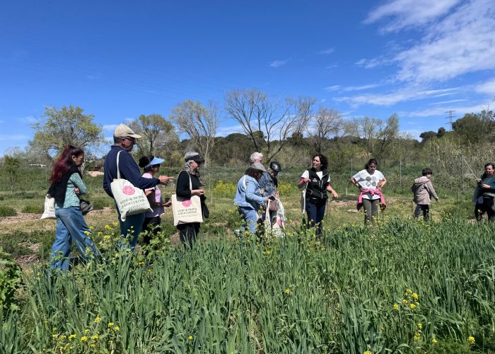 Jardí_ecologic_Barberà (3) Jardí_ecologic_Barberà (3)