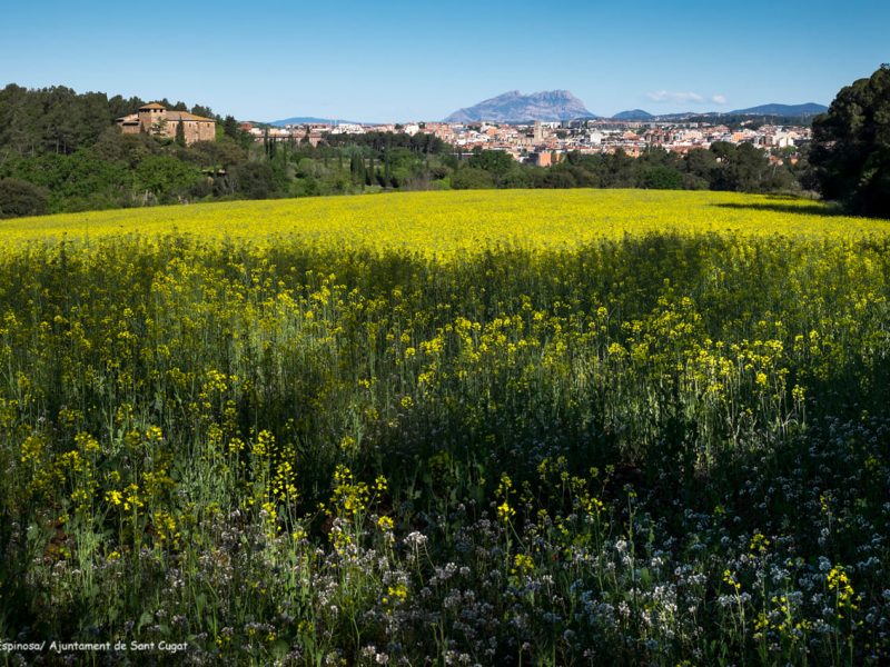 Foto: Ajuntament de Sant Cugat del Vallès / Mané Espinosa