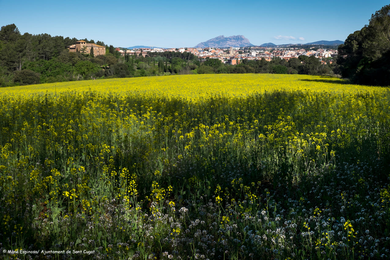 Foto: Ajuntament de Sant Cugat del Vallès / Mané Espinosa