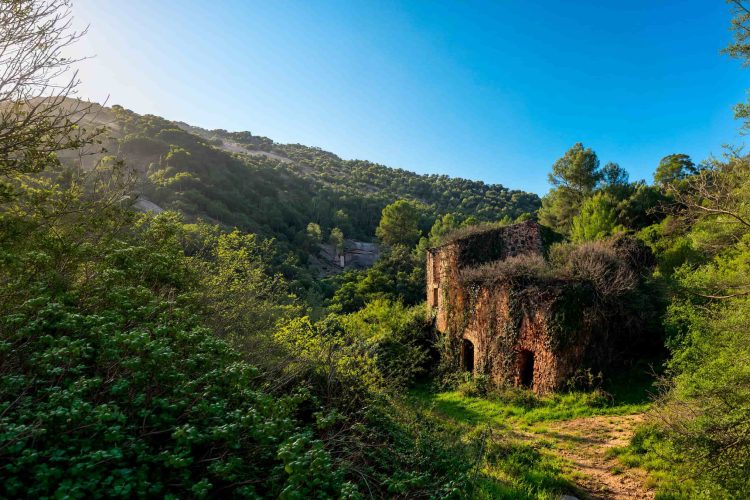 Riu_Ripoll_Moli_Agell_enhanced Riu_Ripoll_Moli_Agell_enhanced